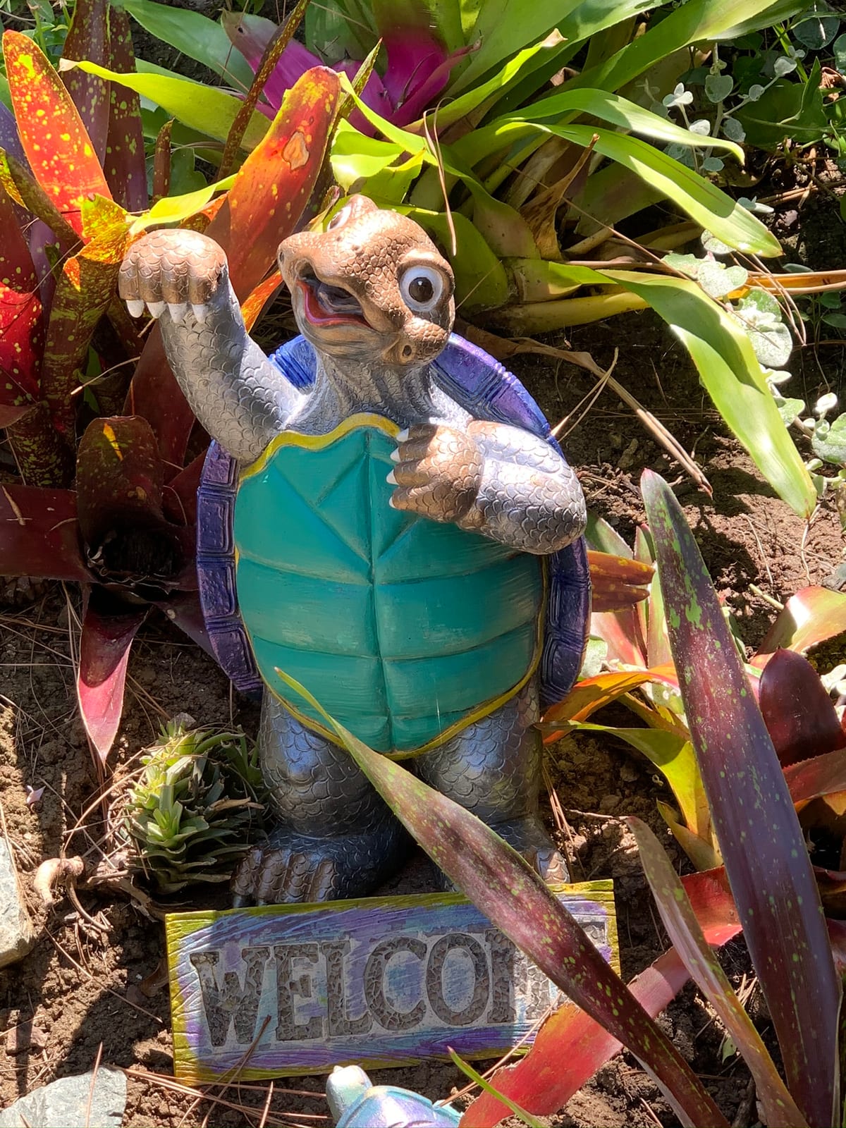 Mr. Tubman the turtle welcomes you